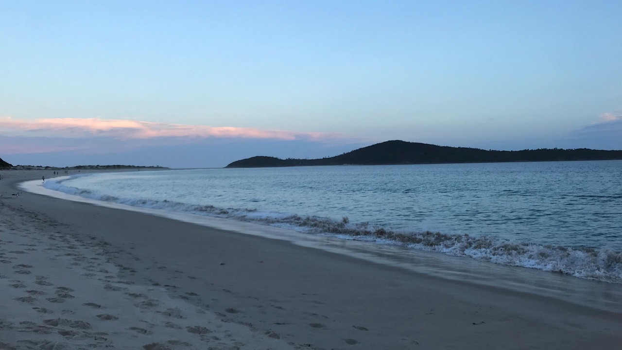 Photo of Others in Fingal Bay