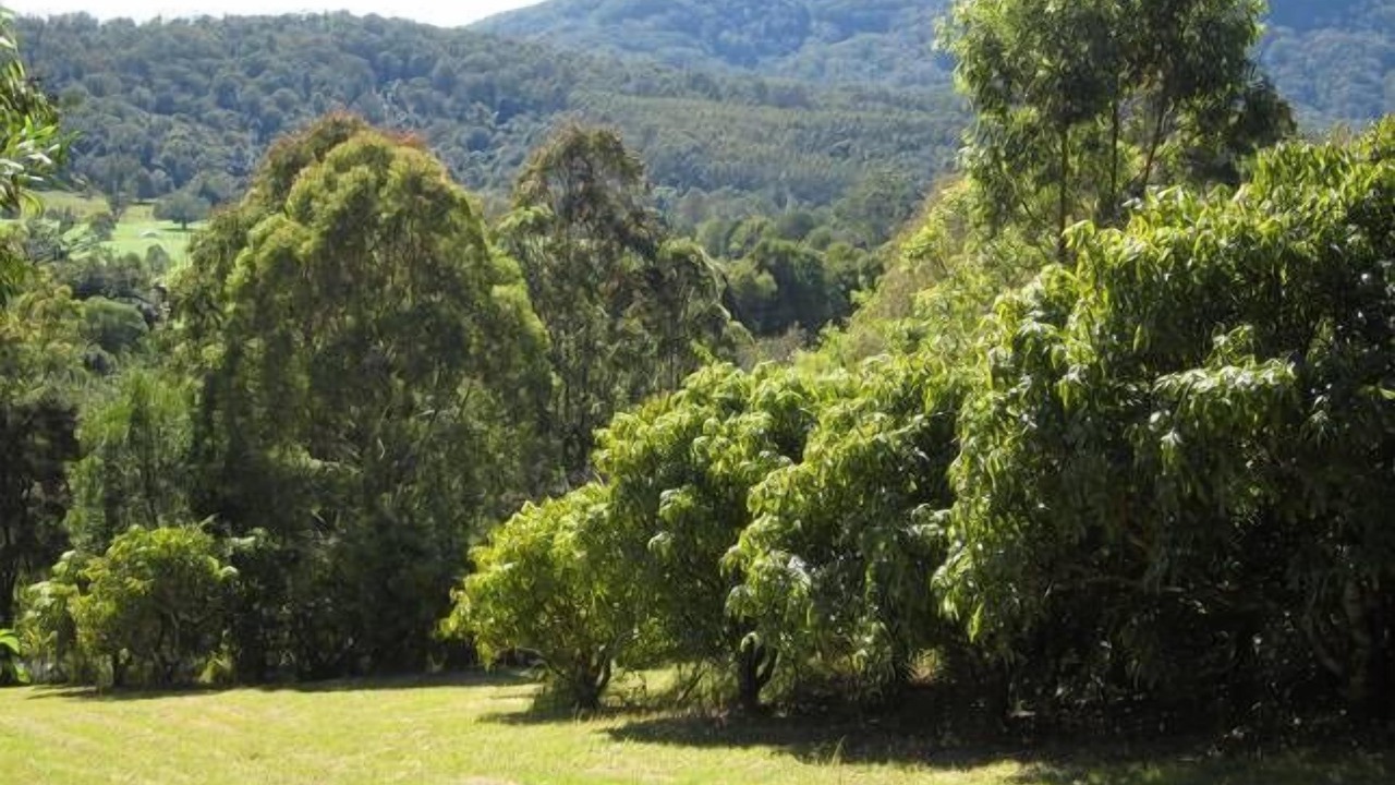 Photo of Outdoor in Stewarts River