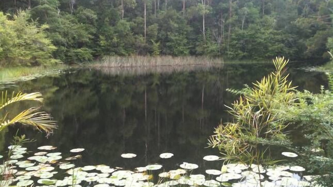 Photo of Outdoor in Stewarts River