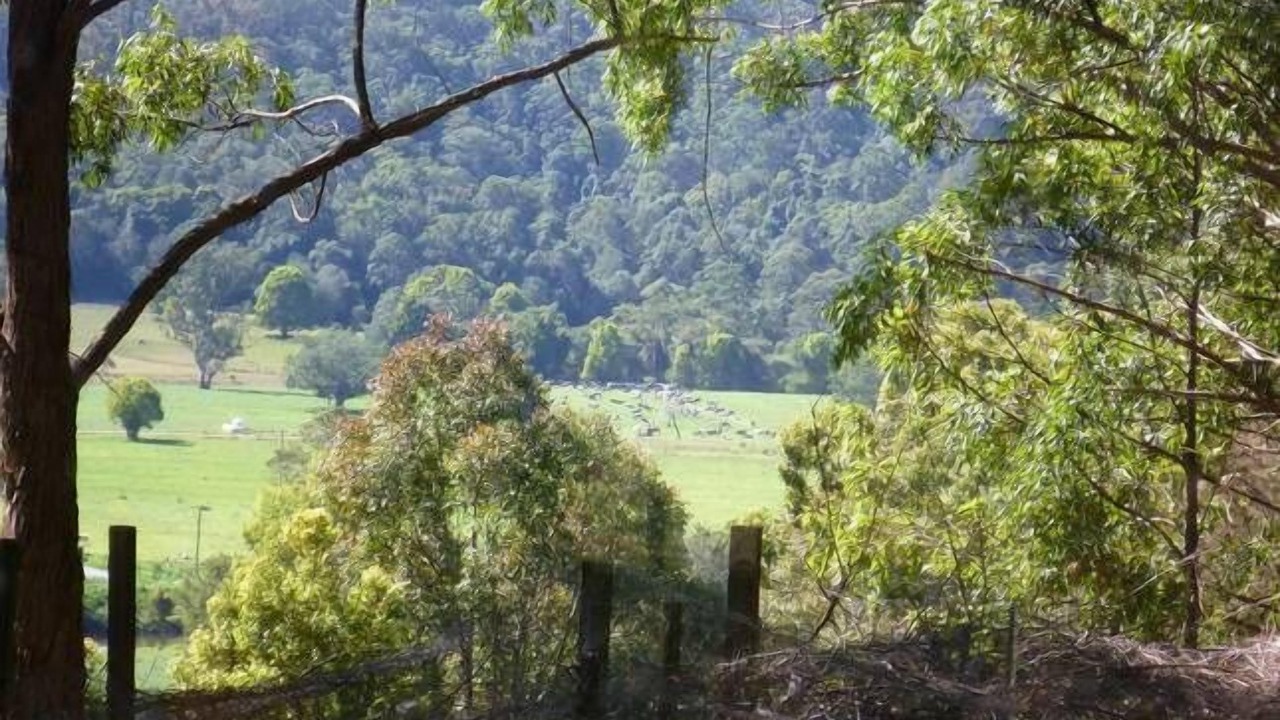 Photo of Outdoor in Stewarts River