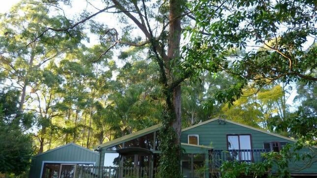 Photo of Outdoor in Stewarts River