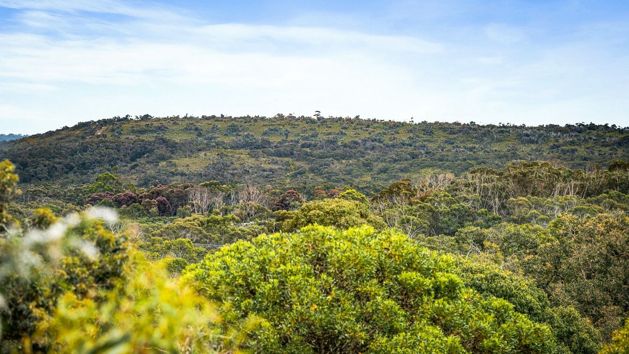 Photo of Others in Anglesea