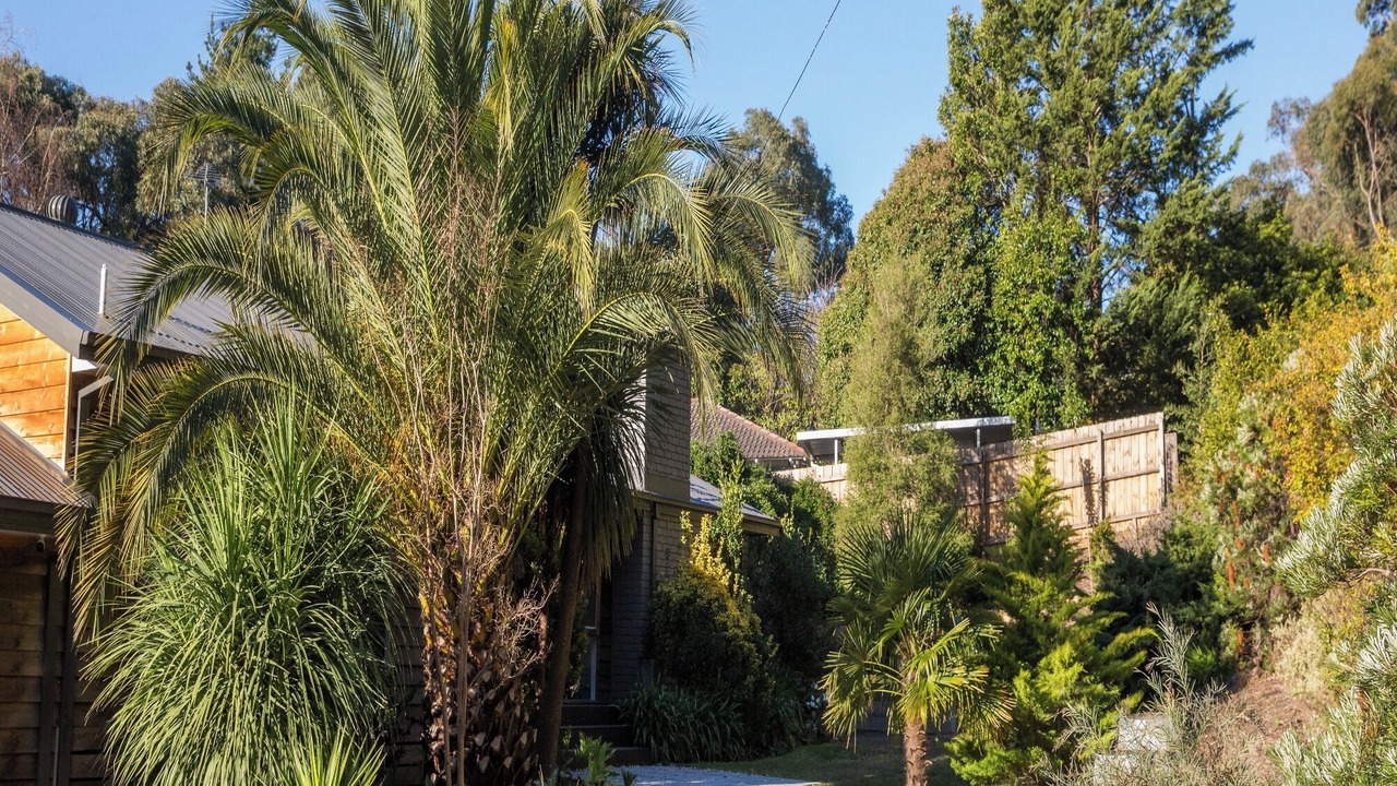 Photo of Outdoor in Badger Creek