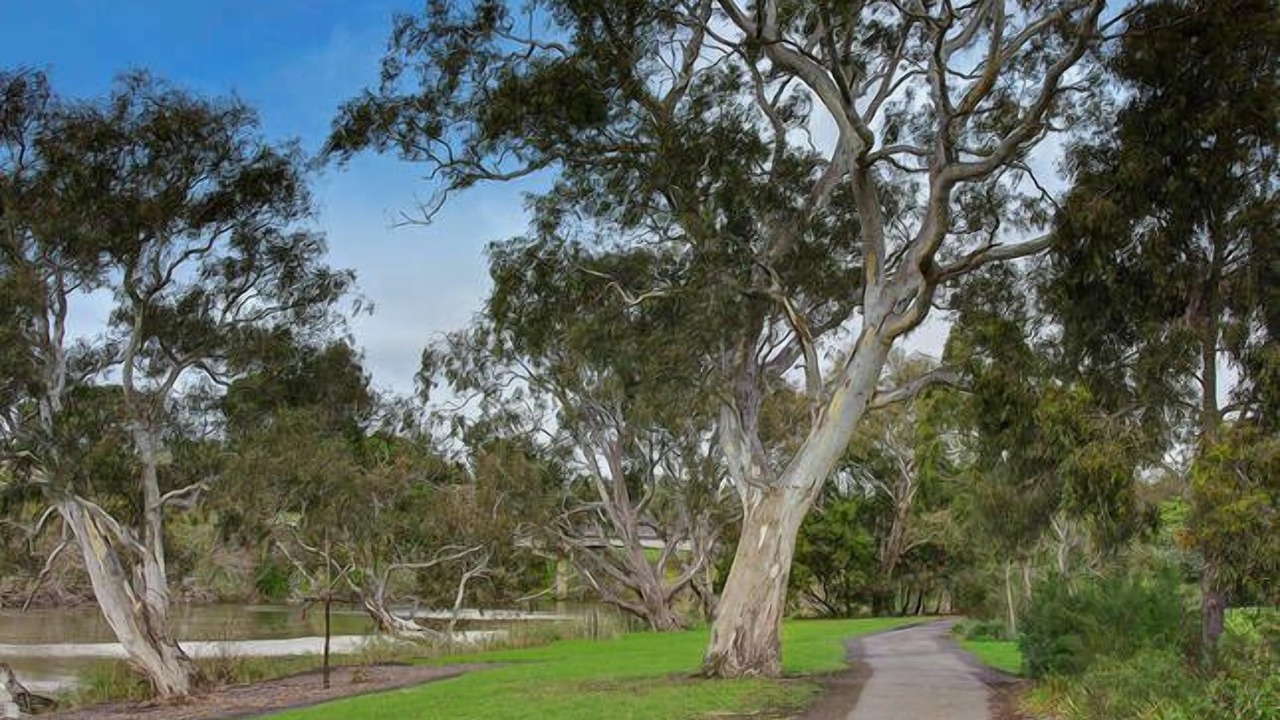 Photo of Outdoor in Belmont