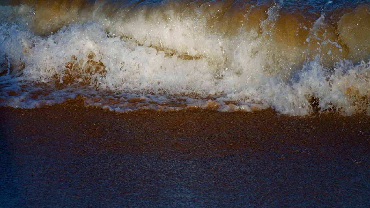 Photo of Others in Avoca Beach