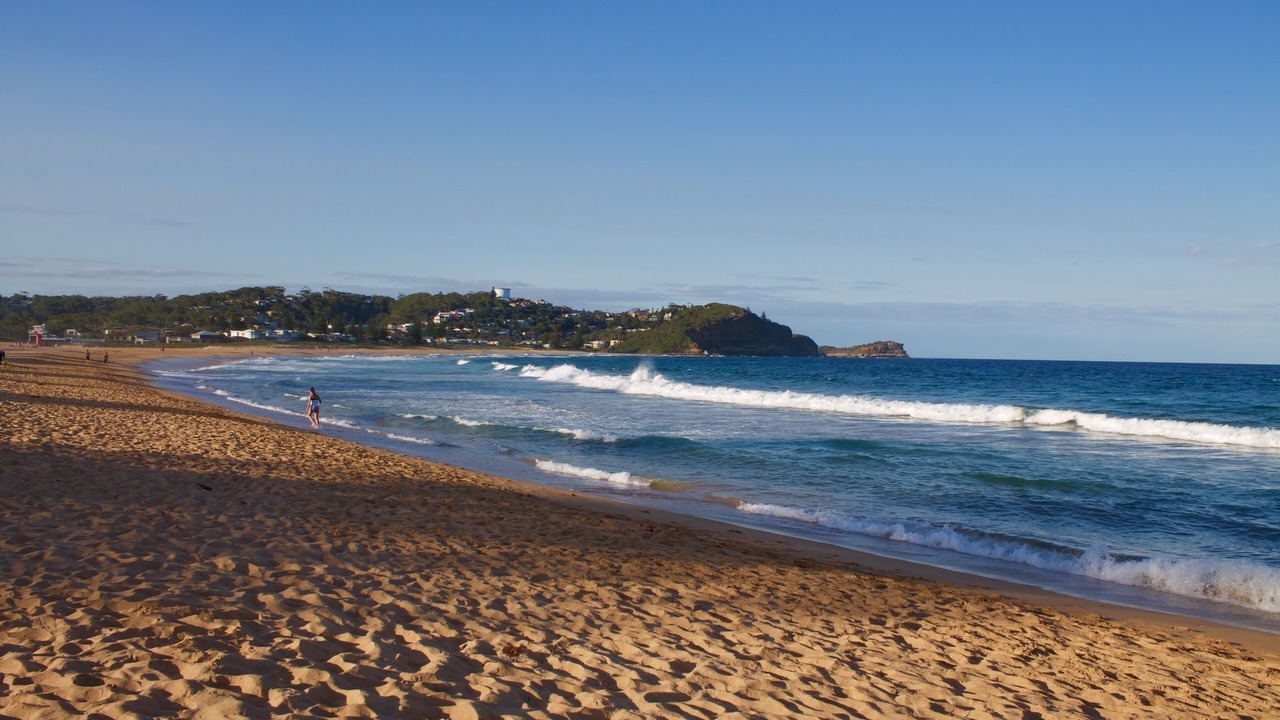 Photo of Others in Avoca Beach