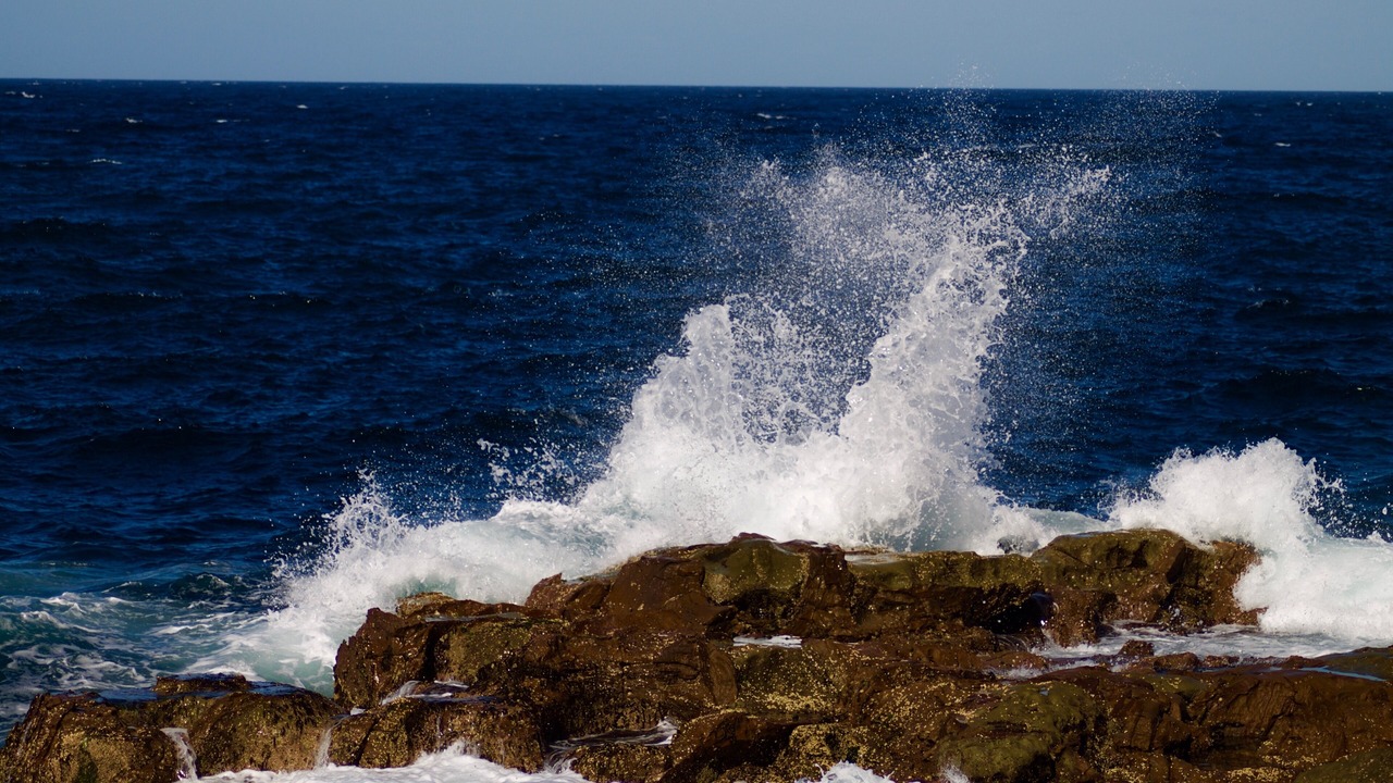 Photo of Others in Avoca Beach