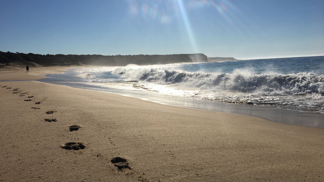 Photo of Others in Cape Paterson