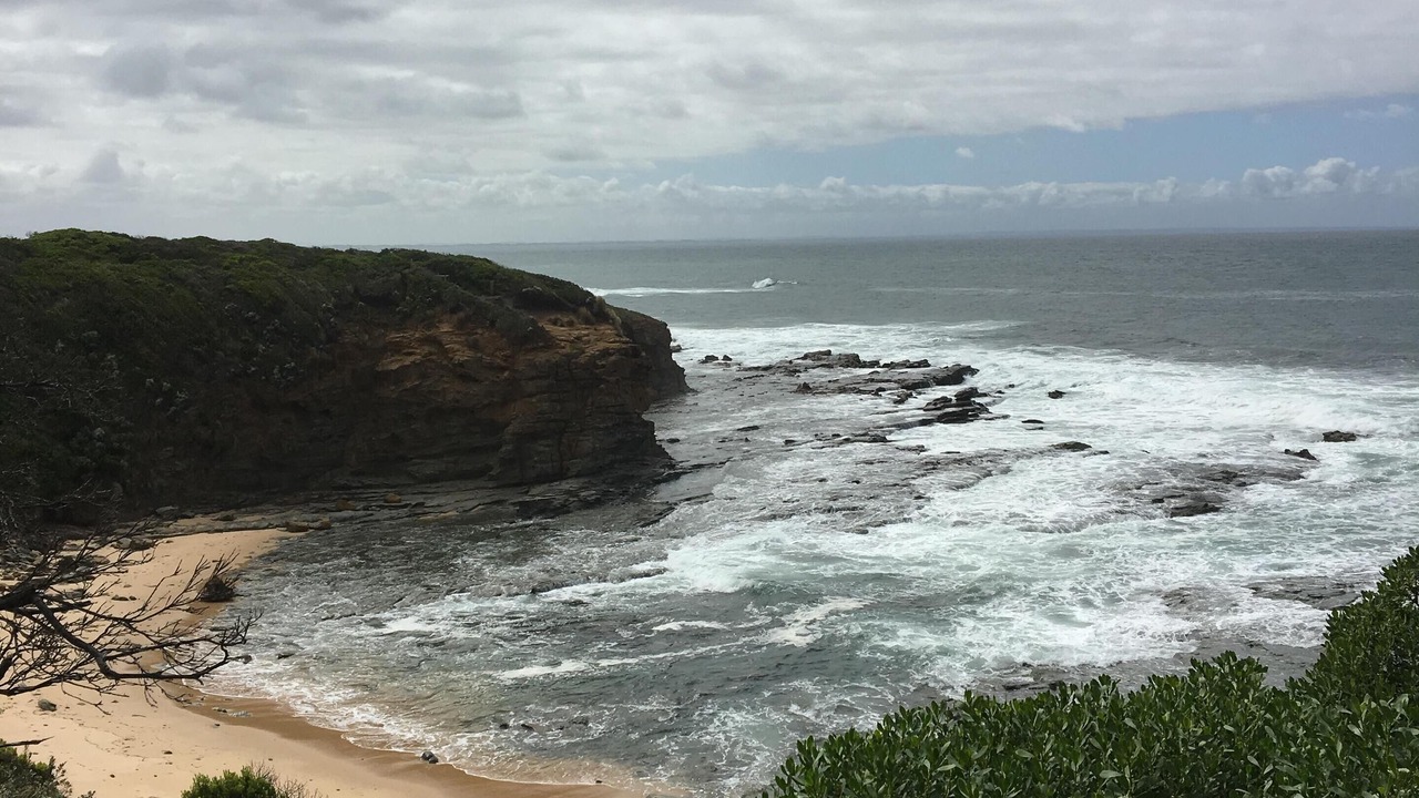Photo of Others in Cape Paterson