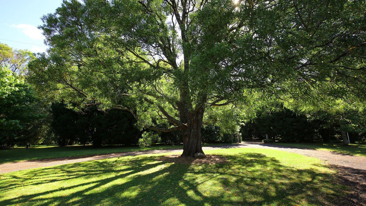 Photo of Outdoor in Bellawongarah