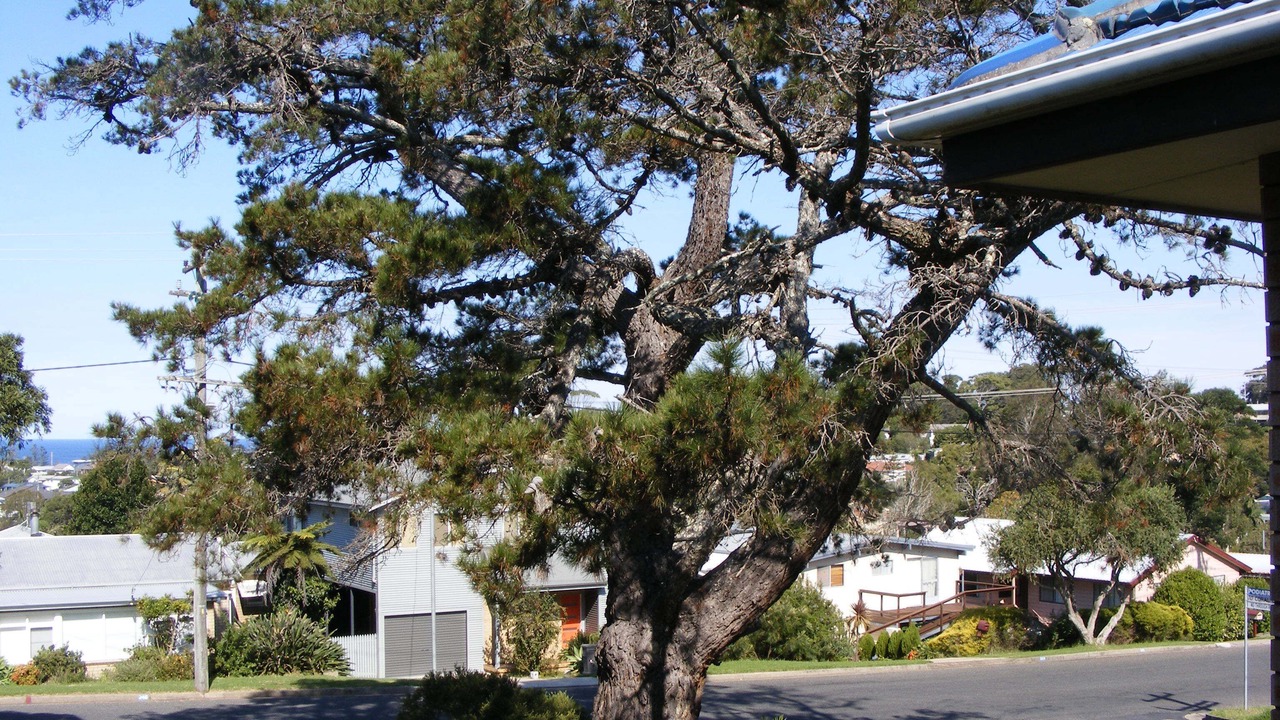 Photo of Others in Tuross Head