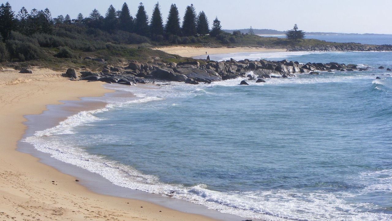 Photo of Others in Tuross Head