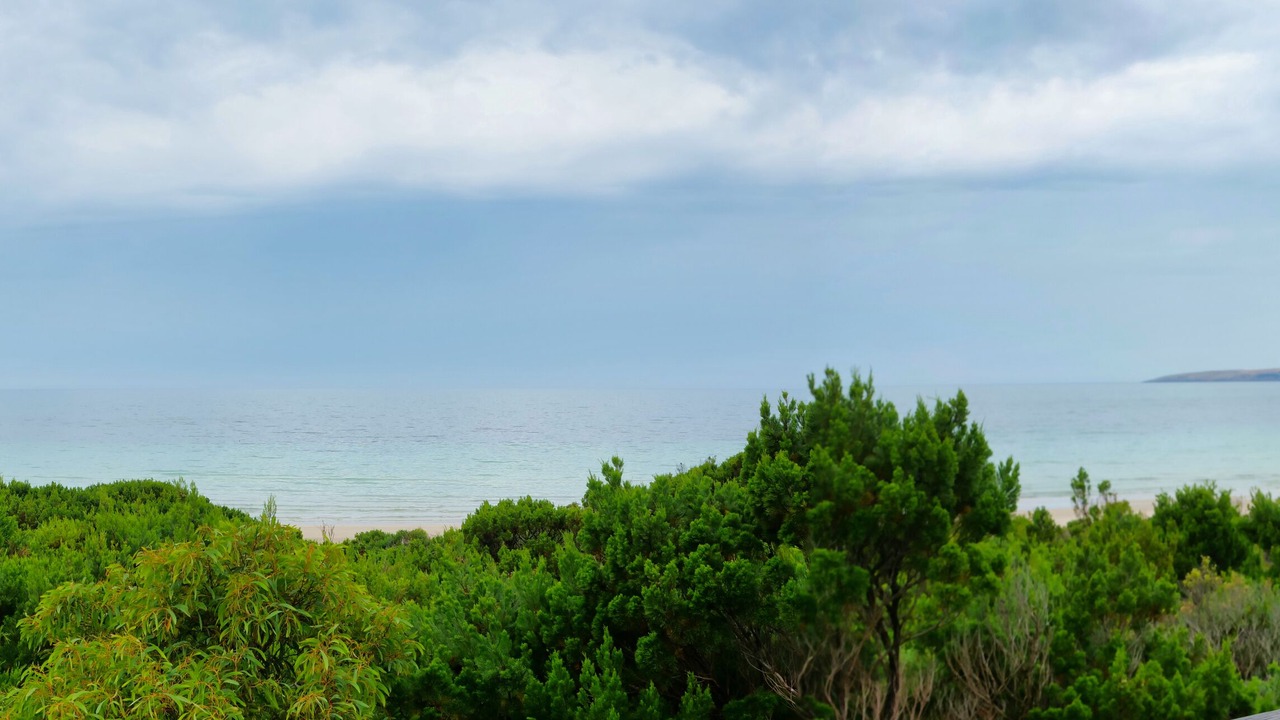 Photo of Others in Island Beach