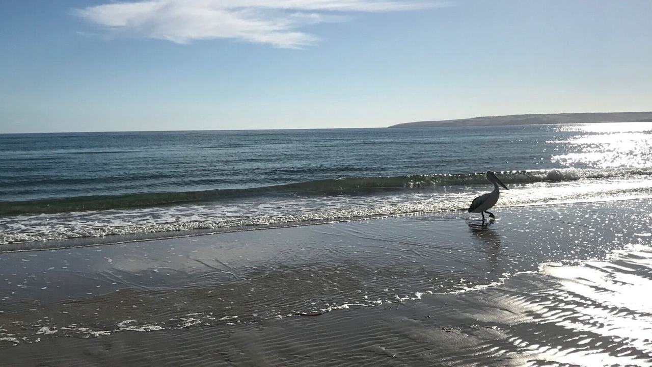 Photo of Others in Island Beach