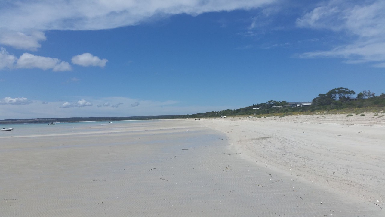 Photo of Others in Island Beach