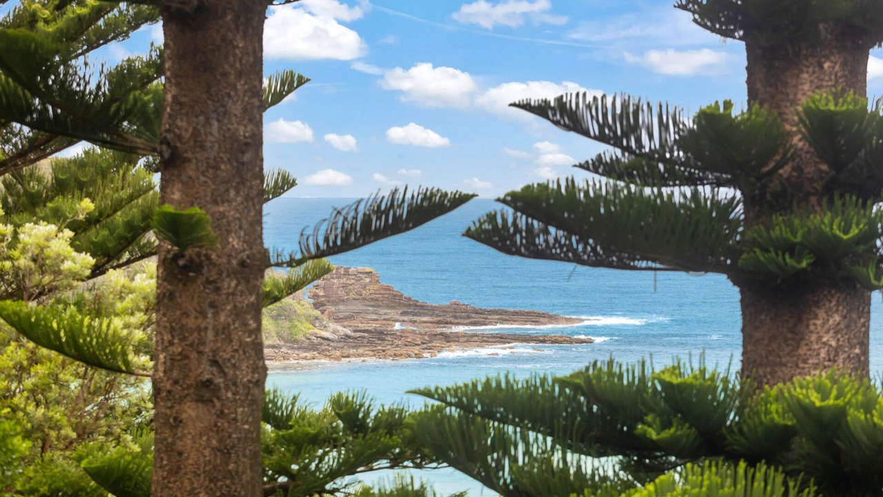 Photo of Others in Mollymook Beach