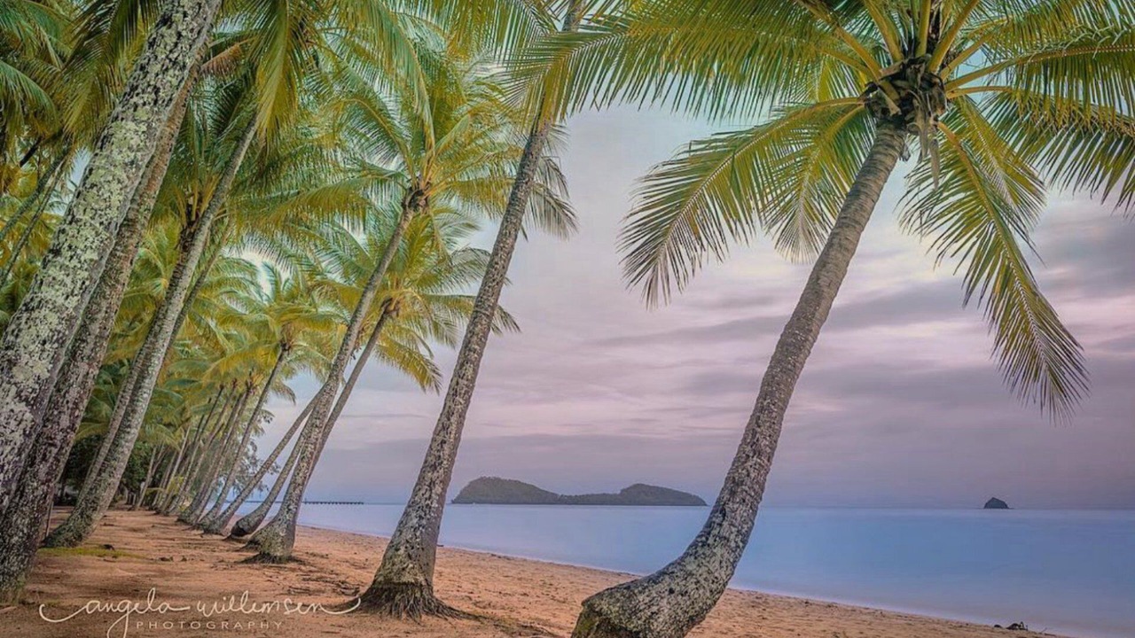 Photo of Others in Palm Cove
