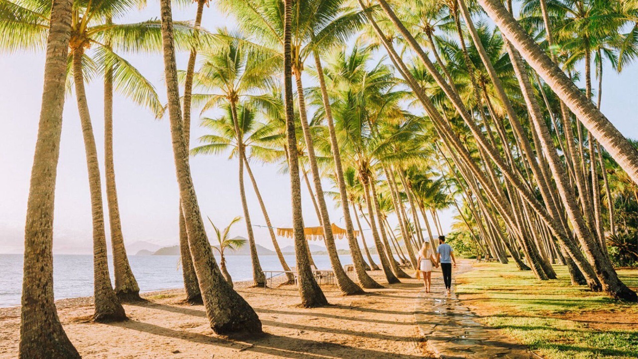 Photo of Others in Palm Cove