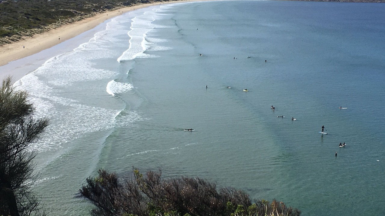 Photo of Others in Dodges Ferry