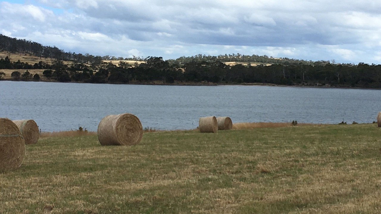 Photo of Others in Dodges Ferry