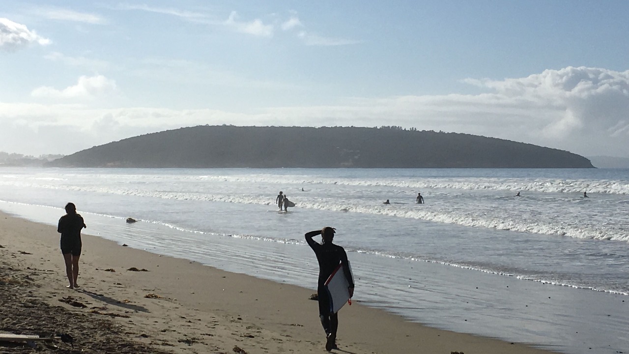 Photo of Others in Dodges Ferry