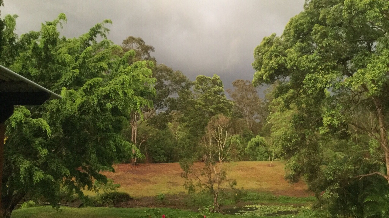 Photo of Outdoor in Landers Shoot