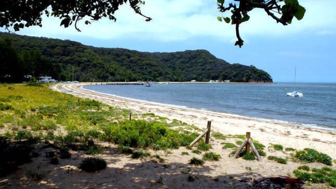 Photo of Others in Patonga