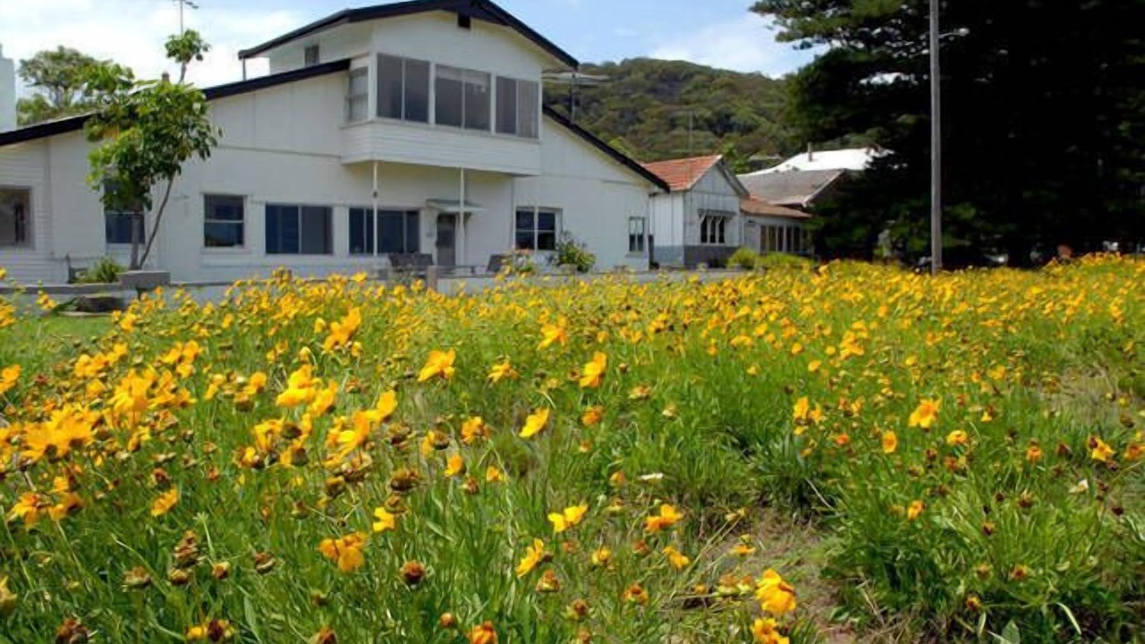 Photo of Others in Patonga