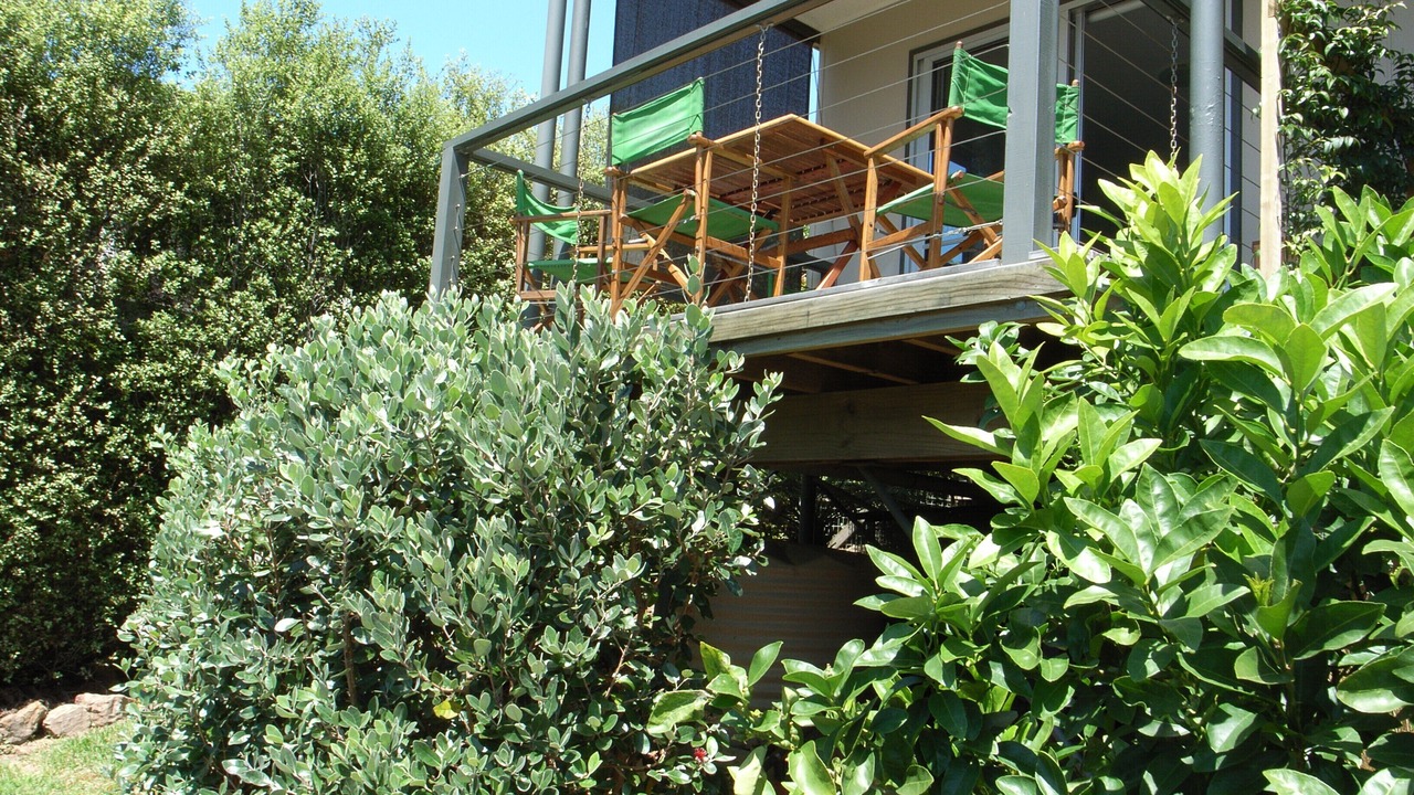 Photo of Others in Tathra