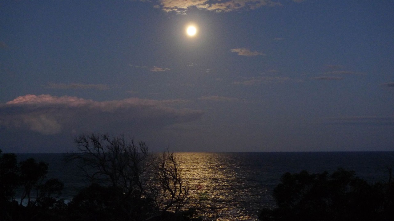 Photo of Others in Tathra