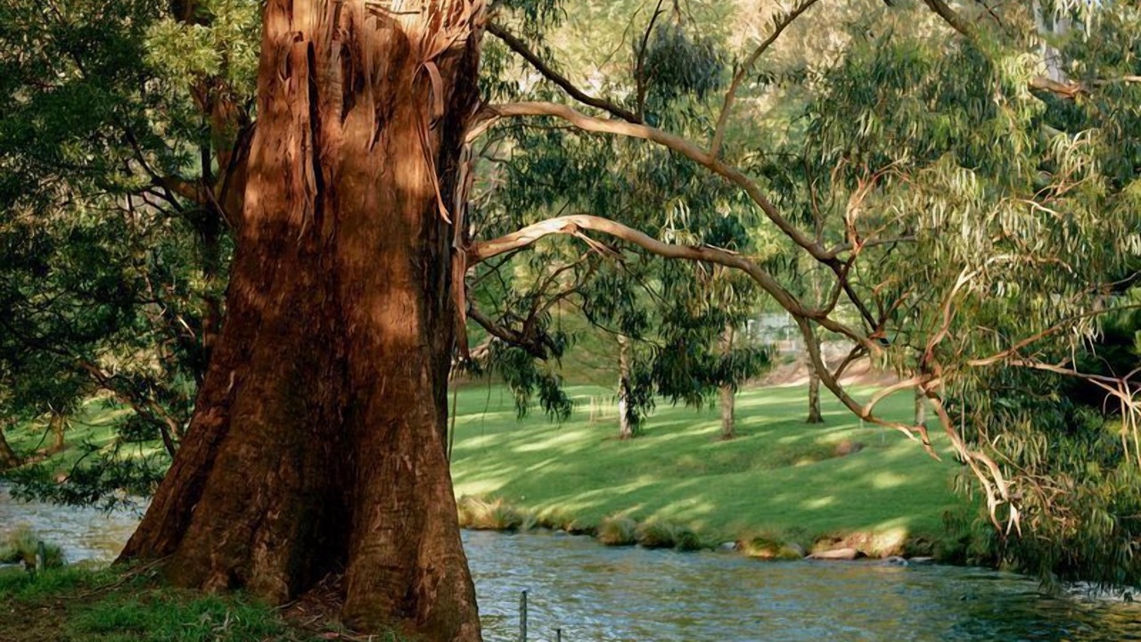 Photo of Others in Warburton