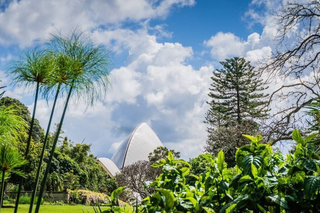 Photo of Outdoor in Darling Harbour