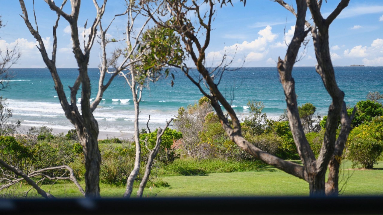 Photo of Others in Arrawarra Headland
