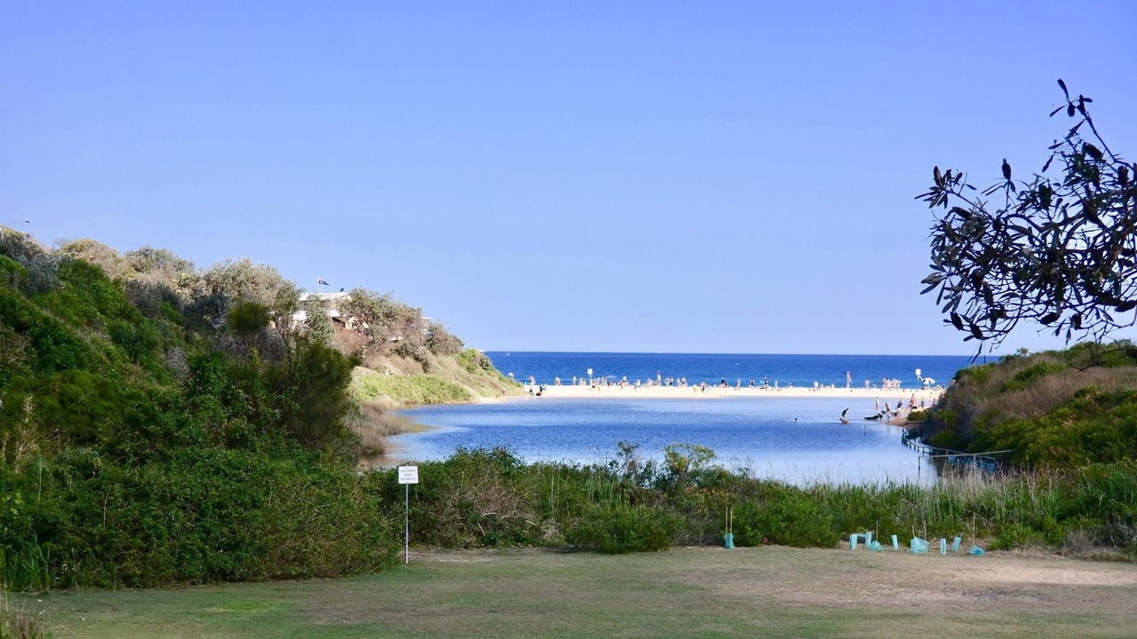 Photo of Others in North Curl Curl