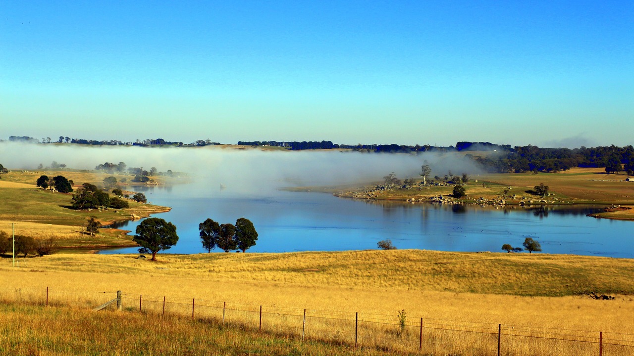 Photo of Others in Oberon