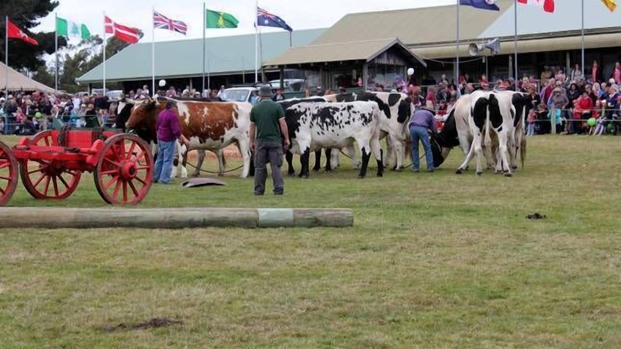 Photo of Others in Bream Creek