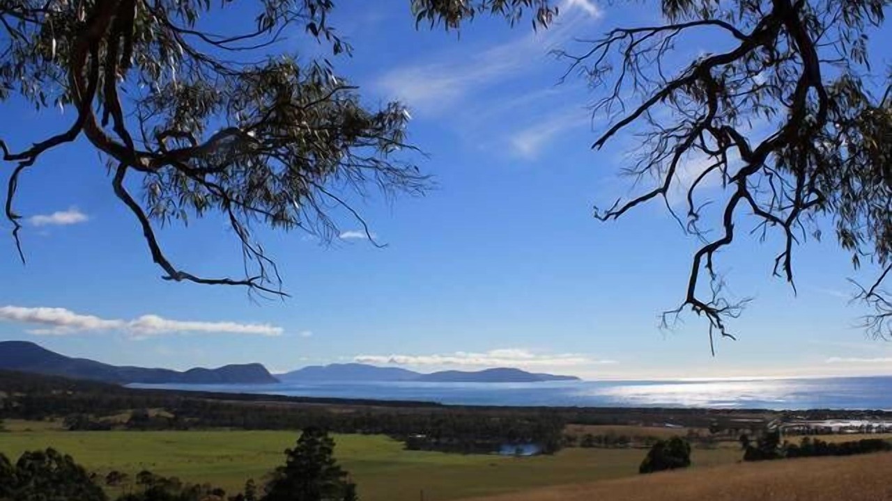 Photo of Others in Bream Creek