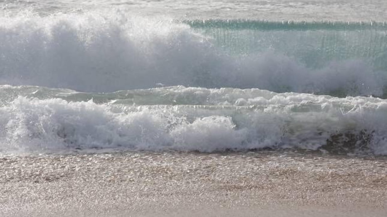 Photo of Others in Werri Beach