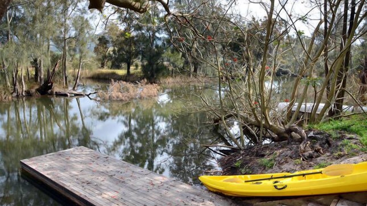 Photo of Outdoor in Werri Beach