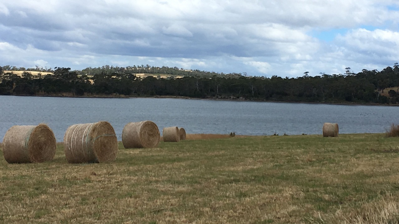 Photo of Others in Dodges Ferry