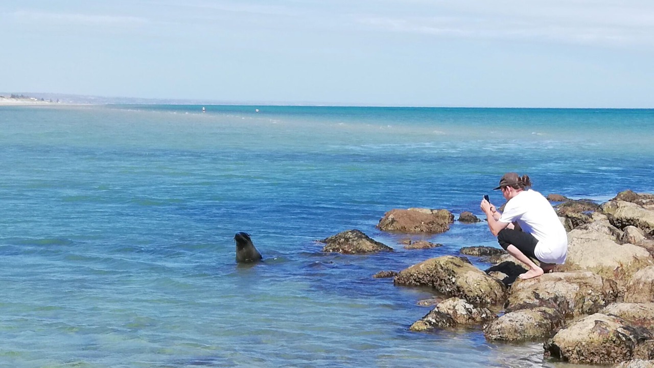 Photo of Others in Baudin Beach