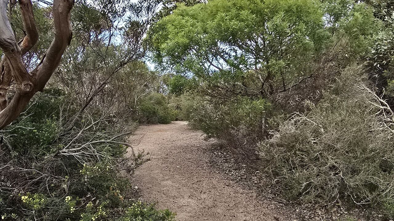 Photo of Others in Esperance