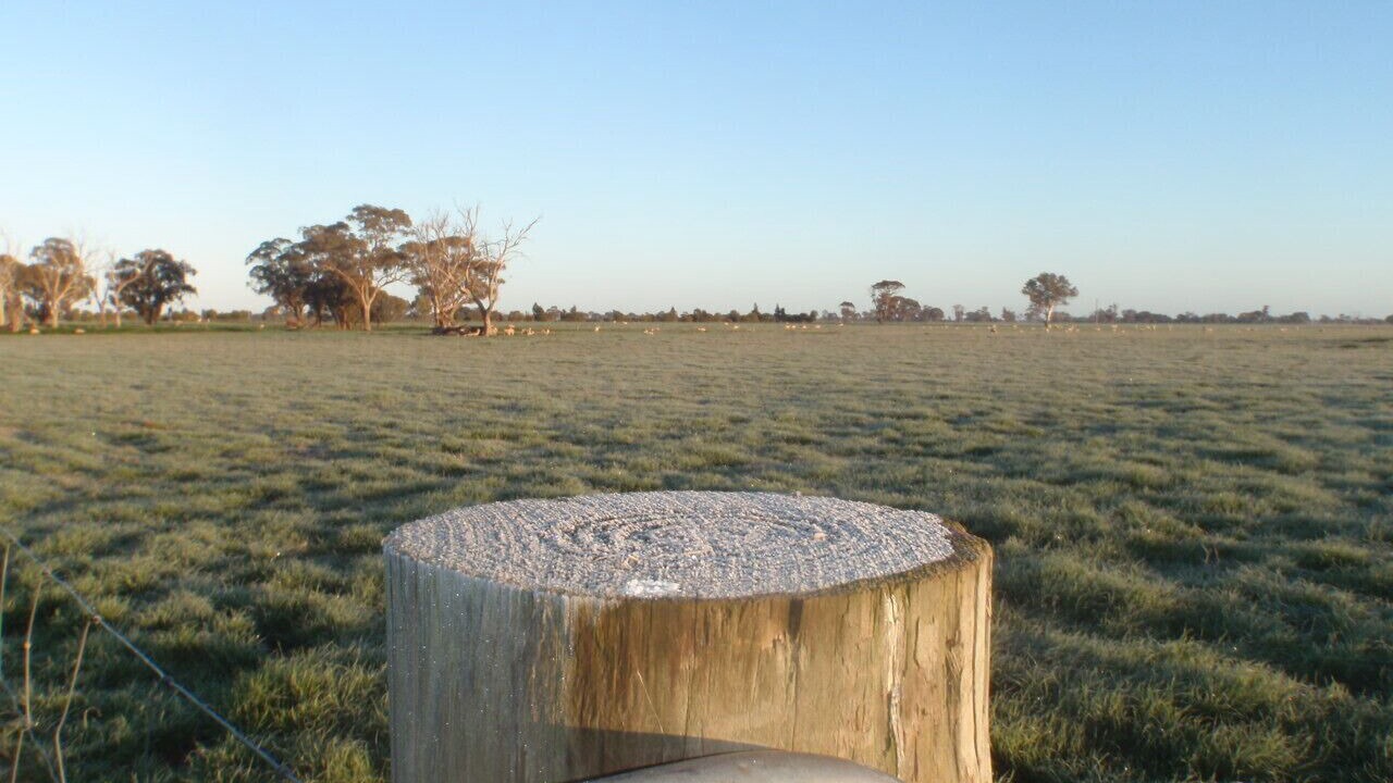 Photo of Others in Elmore