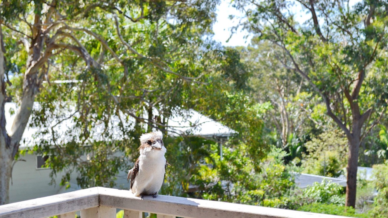 Photo of Patio Balcony in Arakoon