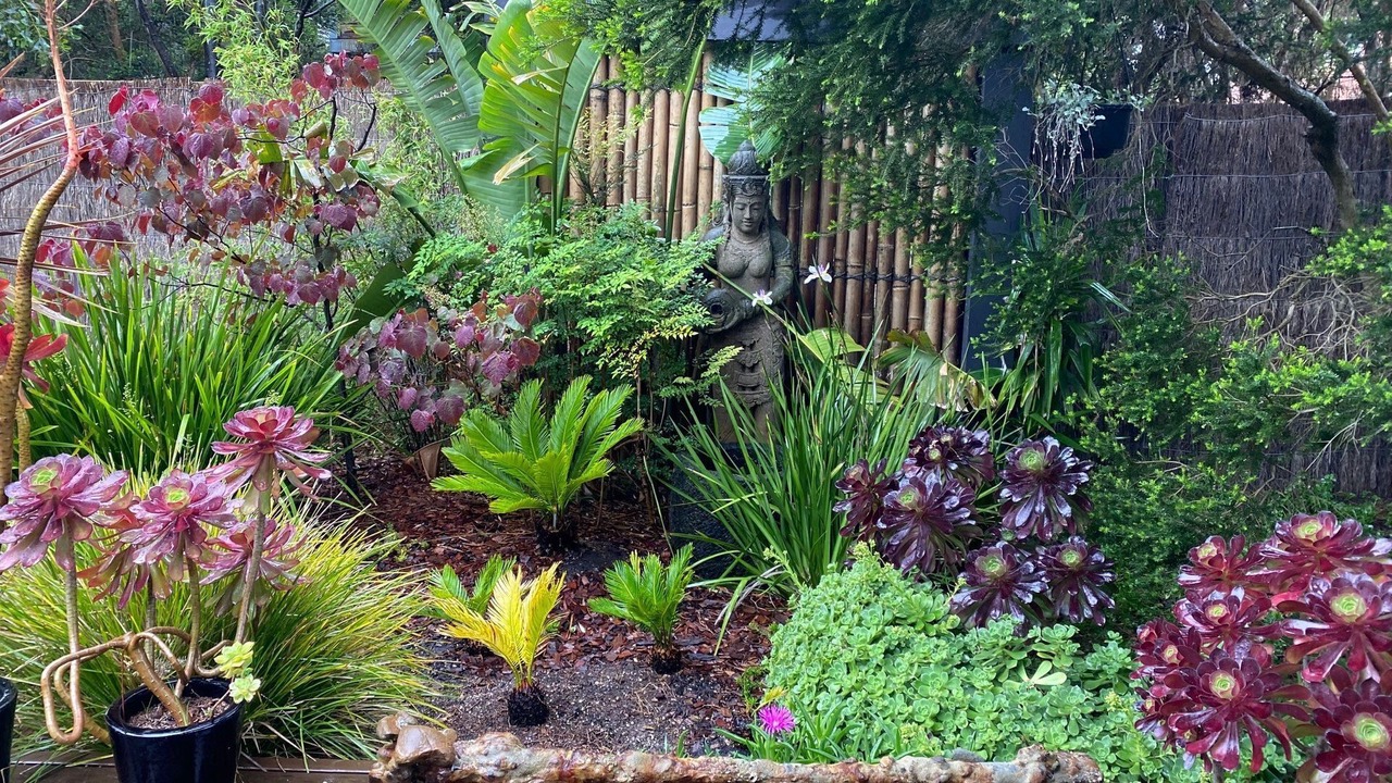 Photo of Outdoor in Aireys Inlet