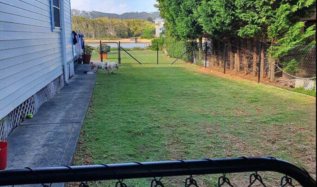 Photo of Outdoor in Avoca Beach