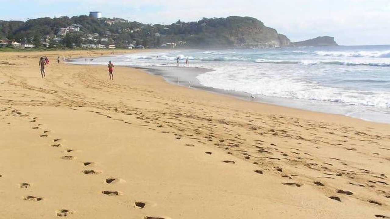 Photo of Others in Avoca Beach