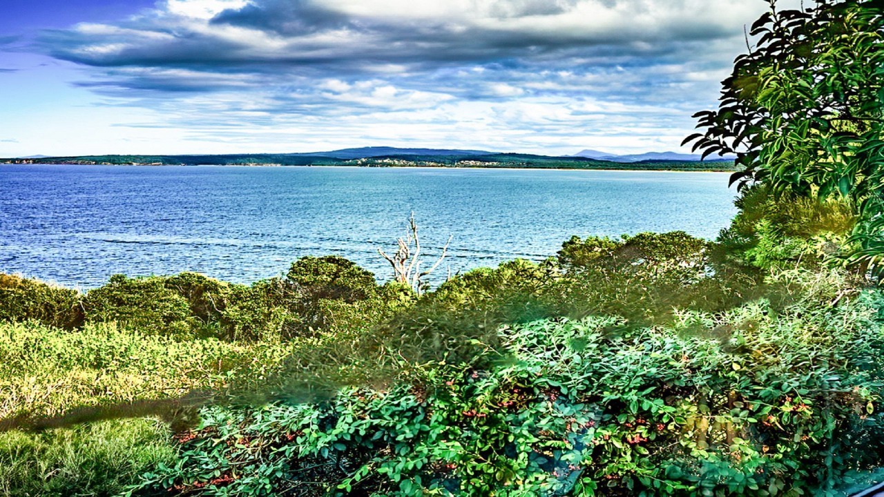 Photo of Others in Merimbula