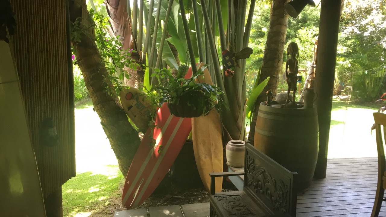 Photo of Outdoor in Elizabeth Beach