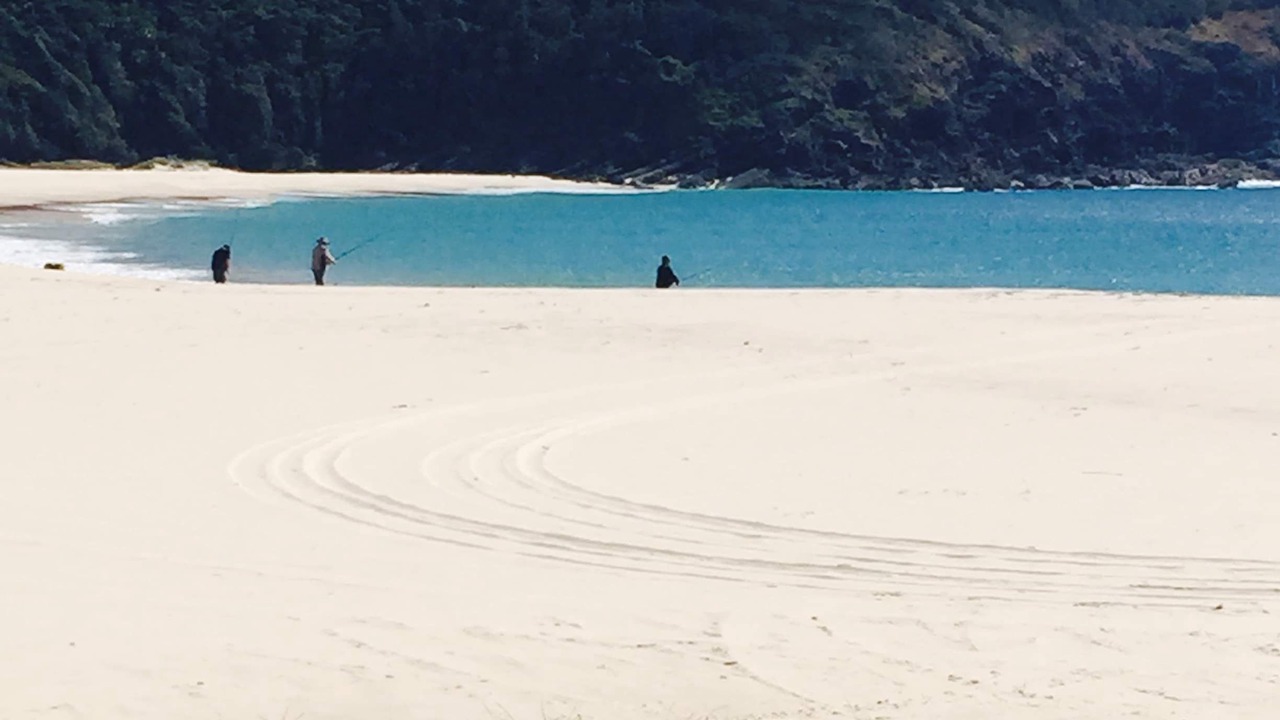 Photo of Others in Elizabeth Beach